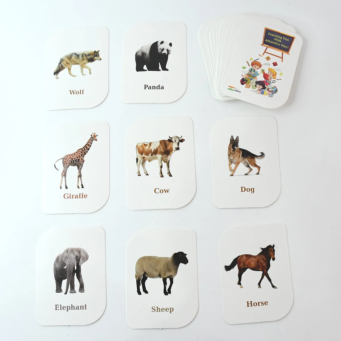 Animal flash cards spread out with the card box